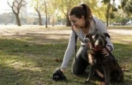 Vecino se quejó de aquellos que sacan a sus perros a espacios públicos y no llevan bolsa para levantar las heces