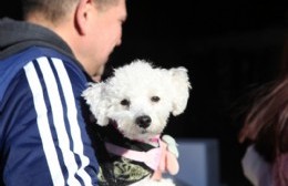 Semana de vacunación gratuita para animales en Parque San Martín
