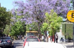 El Estacionamiento Medido funcionará con horario reducido durante enero