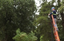 La MLP informó sobre nuevas instalaciones LED en Villa Elisa, Villa Elvira y City Bell