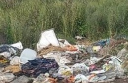 Vecinos piden que la recolección de basura se haga con cuidados y sin vuelcos porque después no se llevan los restos