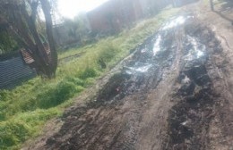 En el barrio El Molino reclaman por el arreglo de calles y recambio de luminarias