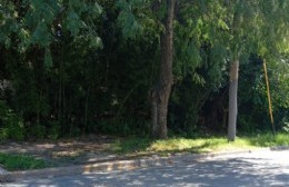 7 y 73: Un enorme bache que cada día se agranda más
