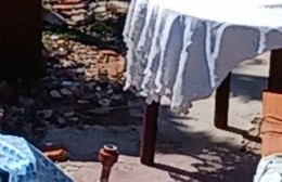 Un reptil suelto en Barrio Aeropuerto