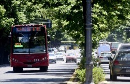 El Municipio dispuso la gratuidad del transporte público durante el domingo de elecciones