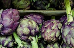 La Fiesta del Alcaucil de Los Hornos pasó para el 30 de septiembre