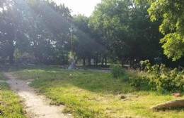 Vecinos reclaman corte de pasto y desmalezamiento en un importante sector de Villa Elvira