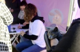 El miércoles vacunan mascotas en un Comedor