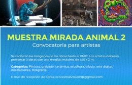 Mirada animal 2