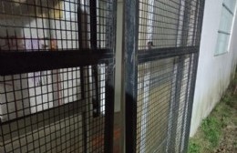 Entró, robó y lo soltaron