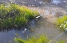 Rebalses por zanjas tapadas: Se impone la limpieza o reposición de cruces de calles