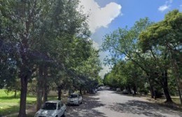 Pobladores se impacientan ante la ausencia de podas en la región