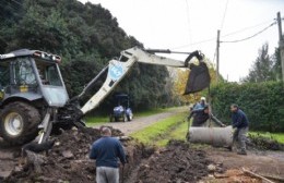El Municipio afirmó que desplegó un operativo de limpieza en Villa Elvira, Abasto, City Bell, Ringuelet y Arturo Seguí