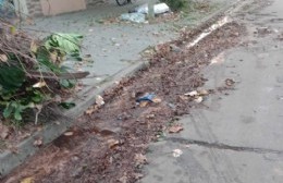 Las calles del casco están echas un chiquero por falta de barrido y limpieza