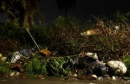Reclaman a la Delegación por basura acumulada