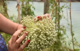 Nuevos talleres y propuestas ambientales llegan en septiembre al Parque Ecológico
