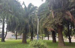 Reclaman por una plazoleta a oscuras en Barrio Jardin