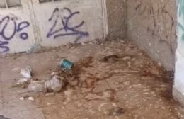 "Si no fuera por los vecinos esta esquina estaría mucho peor" denuncian en 8 y 74