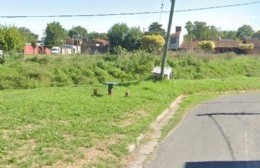 Vecinos del arroyo Monasterio piden corte de pasto, limpieza y desratización