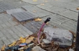 Alerta por un cable suelto en la vereda a metros de un Jardín de Infantes