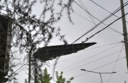 Voladuras de techo, ramas y cortes de líneas provocaron la caída de la red eléctrica en varios barrios