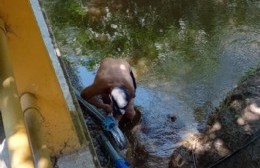 Si los vecinos no arreglan, todo un barrio se quedaría sin agua