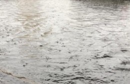 Otra vez Villa Elvira en el epicentro de la tormenta