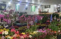 City Bell: último día para disfrutar de la expo vivero