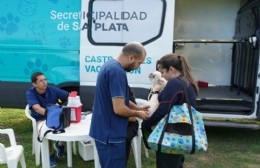 Doble jornada de vacunación y castración animal en la delegación comunal de Villa Elvira