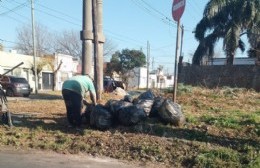 Un pequeño dilema: Basura en casa o en la esquina