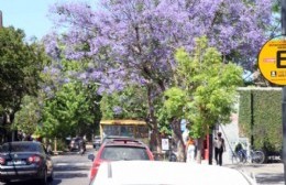 Garro suspendió el cobro del Estacionamiento Medido por el paro de transporte