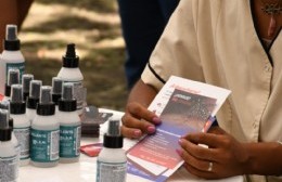 El Municipio intensificó las tareas de prevención contra el dengue