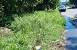 Una nueva calle que muestra como el pasto se comió el cordón