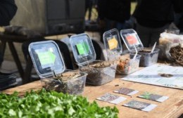 Hoy en la Casa Ecológica: se conmemora el Día del Ambiente