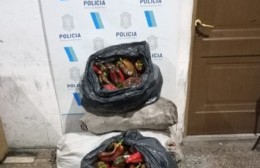 Sorprenden a ladrón con 60 kilos de morrones robados