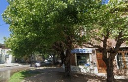 Reclaman por la poda de árboles frente a la Estación Circunvalación: las ramas ya están envueltas en los cables