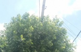 Movistar retiró el poste roto: Vecino agradeció la difusión de NVE