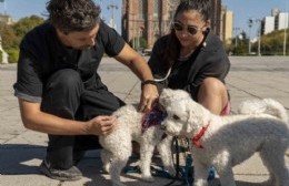 Vacunación gratuita para perros y gatos en Altos de San Lorenzo y Parque Sicardi