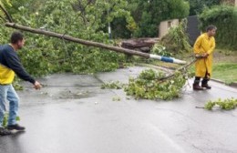 La Plata alcanzó los 198 mm de agua caída: informe sobre el fenómeno meteorológico en cada barrio