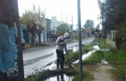 Trabajadores de la comuna tratan de darle una solución a la acumulación de 122 en Palihue