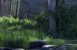 Precaria señalización para mostrar un gran problema