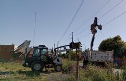 Retiran caballo muerto del descampado de 92