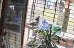 Inseguridad : Robaron una carnicería en Avenida 13 entre 72 y 73