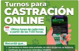 Ensenada abrió un nuevo servicio para pedir la castración de animales