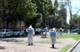 Redoblan los operativos de fumigación, que hoy llegaron a diez zonas de la ciudad