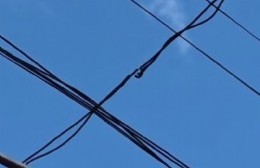 Vecino de 96 entre 12 y 13 denuncia que EDELAP no atiende sus reclamos por el cableado