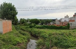 Proliferación de ratas en Los Hornos: Pobladores piden el Municipio combata a los roedores