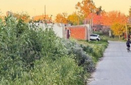 El Concejo Delibarante trata hoy varios quejas y pedidos de vecinos de Villa Elvira