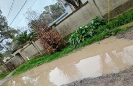 Reclamo por zanjas tapadas y mejorado de una calle muy transitada
