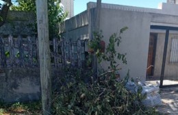 ESUR y la Delegación llevan a un barrio al borde del abandono